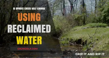 Is Spruce Creek Golf Course Using Reclaimed Water? Facts Revealed