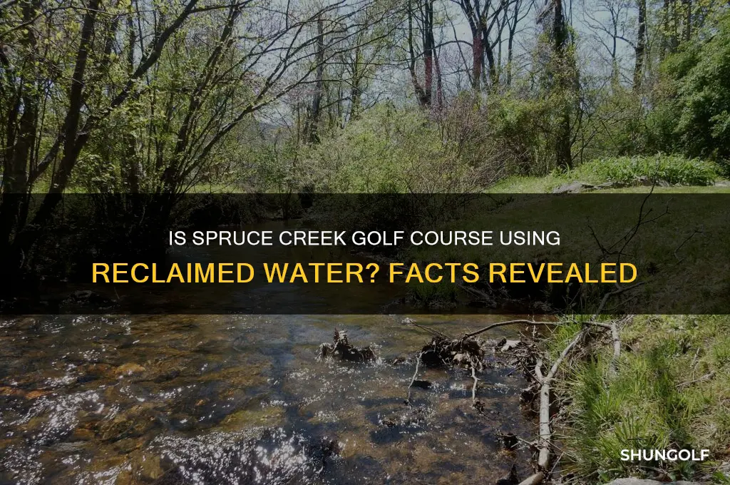 is spruce creek golf course using reclaimed water