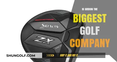 Who's the Golf Giant? Srixon's Market Presence Examined