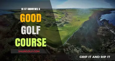 Is St Andrews Worth the Hype? A Golfer's Honest Review