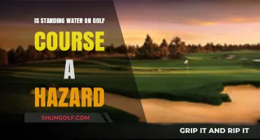 Standing Water on Golf Courses: Hazard or Harmless?