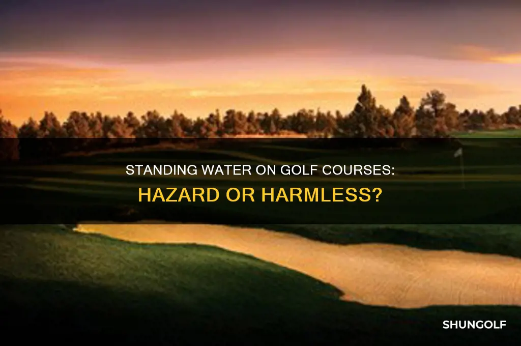 is standing water on golf course a hazard