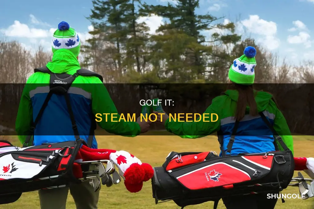 is steam required for golf it