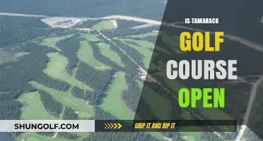 Is Tamarack Golf Course Open? Current Status and Updates