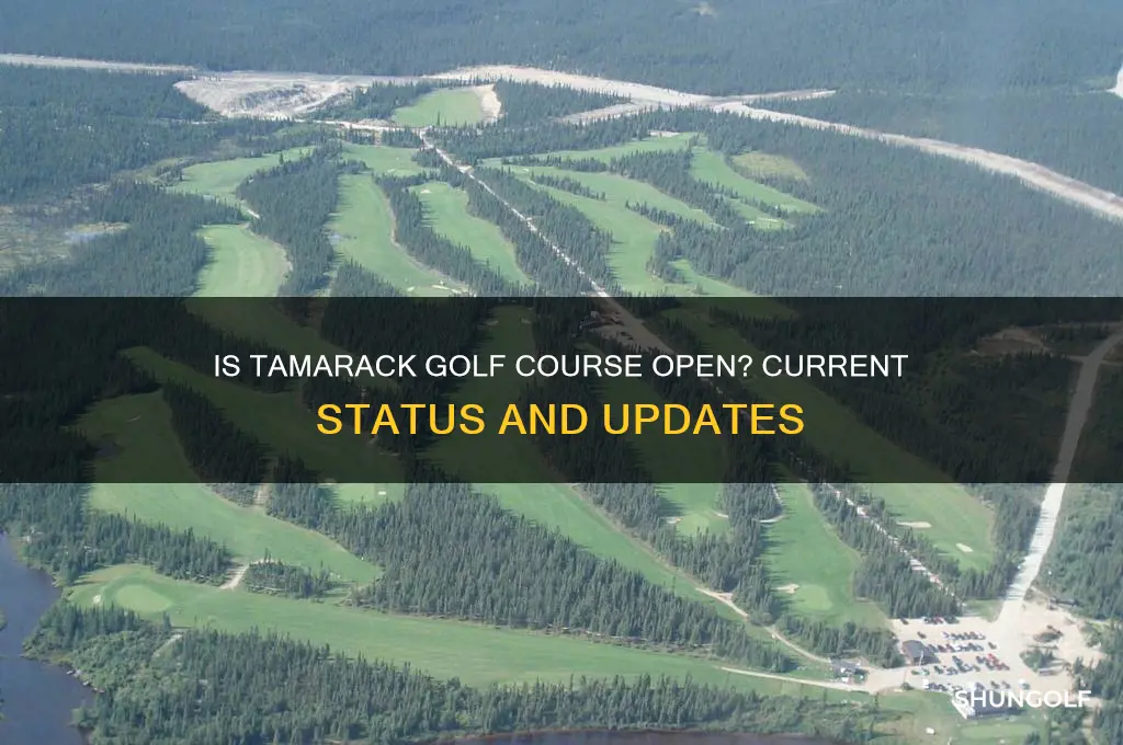 is tamarack golf course open