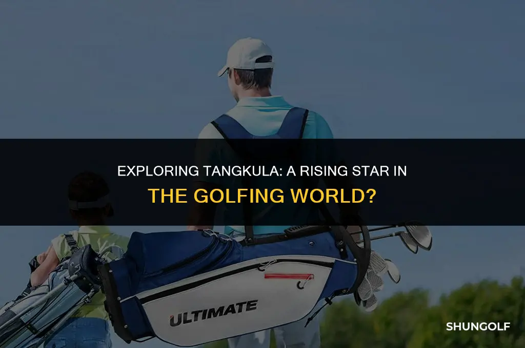 is tangkula a good golf brand