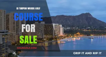 Is Tarpon Woods Golf Course for Sale? Exploring the Rumors