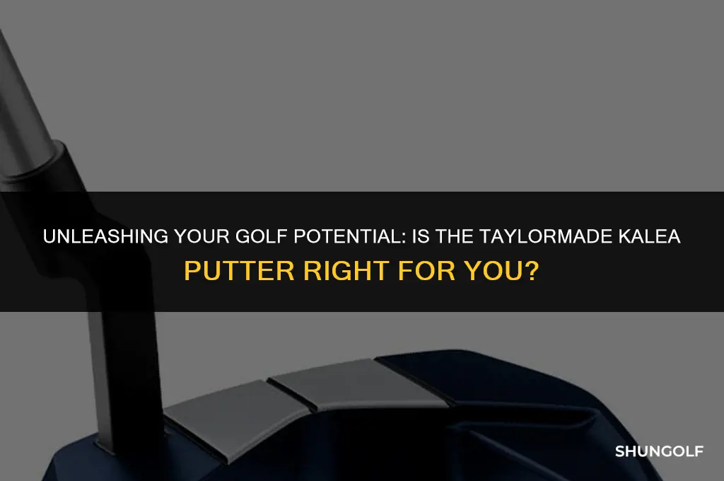 is taylormade kalea putter the best for a beginner golfer