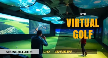 Virtual Golf: The Future of Golfing?