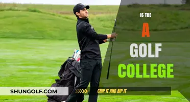 Golf College: Is It Worth It?