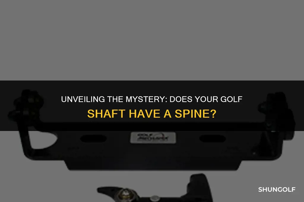 is the a spine on golf shaft