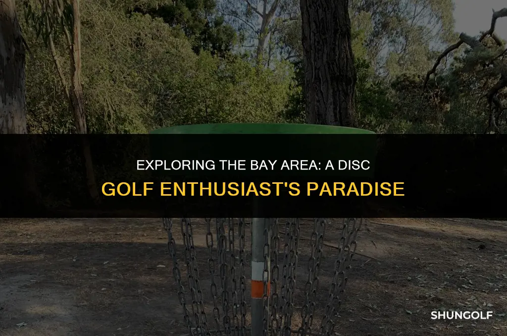 is the bay area a good city for disc golf