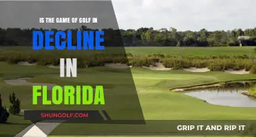 Florida's Golf Scene: Is the Sport Losing Its Swing?