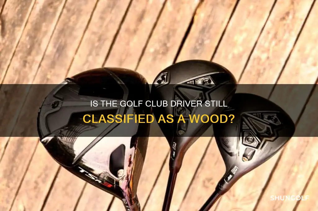 is the golf club driver considered a wood