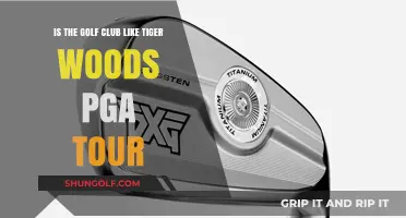 Is the Golf Club Like Tiger Woods PGA Tour?