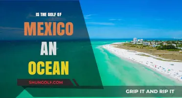 Is the Gulf of Mexico an Ocean? Unraveling the Geographic Mystery