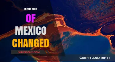 The Gulf of Mexico: A Changed Landscape