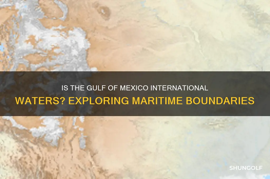 is the golf of mexico international waters