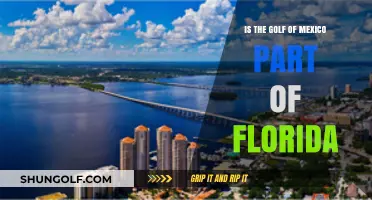 Is the Gulf of Mexico Part of Florida? Exploring the Geography