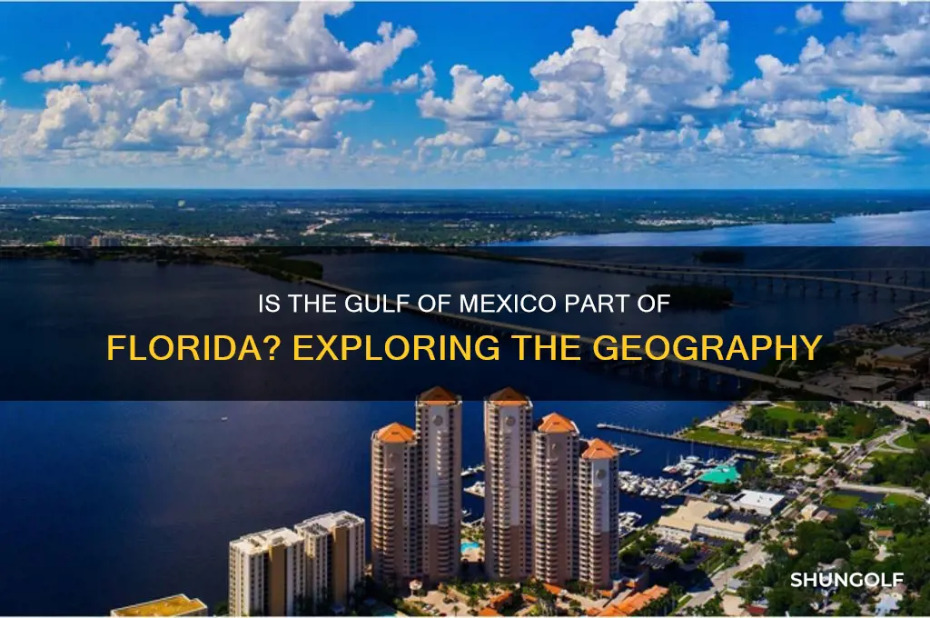 is the golf of mexico part of florida