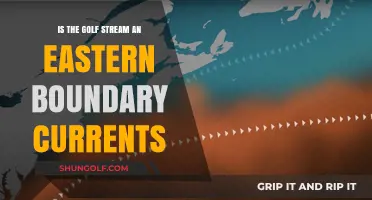 Exploring the Gulf Stream: Eastern Boundary Current or Not?