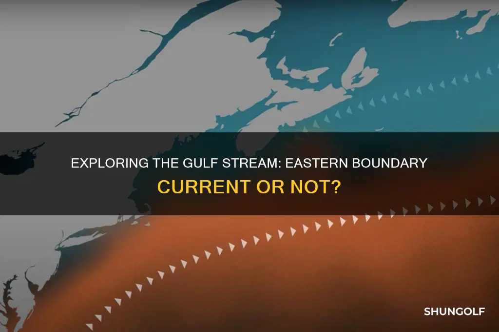 is the golf stream an eastern boundary currents