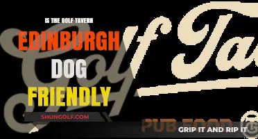 Is The Golf Tavern Edinburgh Dog Friendly? A Pet Owner's Guide