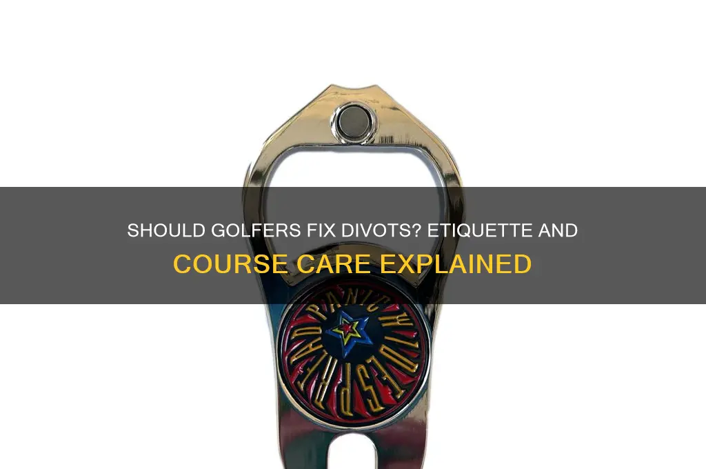 is the golfer suppost to fix his divits