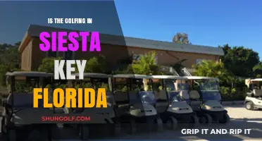 Exploring Siesta Key's Golfing Scene: Courses, Views, and Experiences