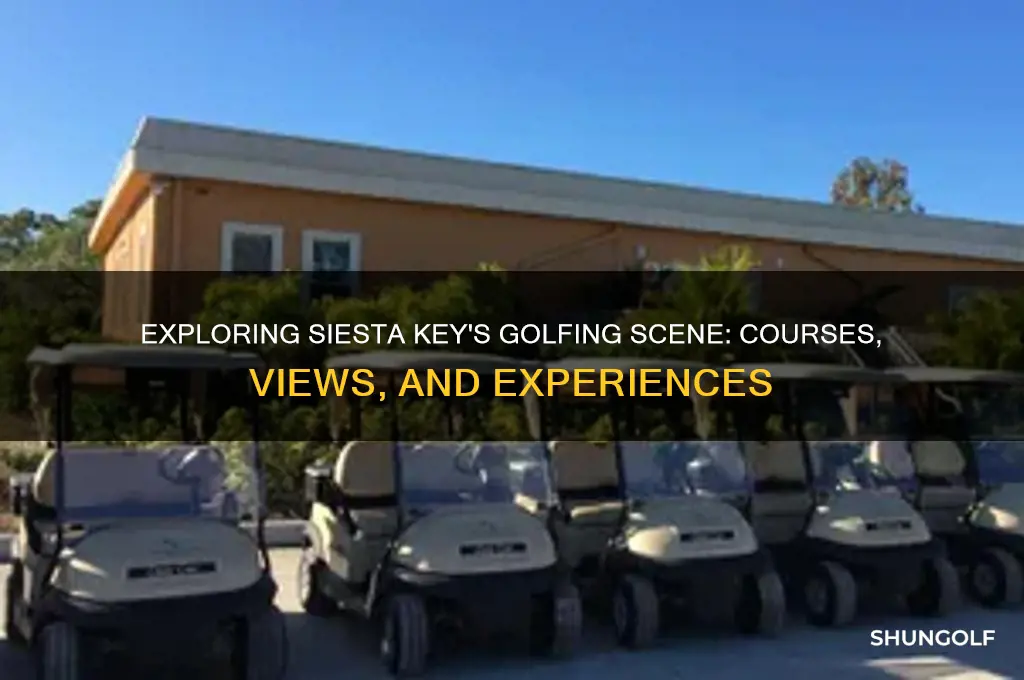 is the golfing in siesta key florida
