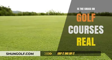 Is Golf Course Grass Real? Uncovering the Truth Behind the Greens
