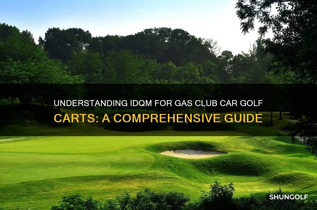 is the idqm for gas club car golf carts