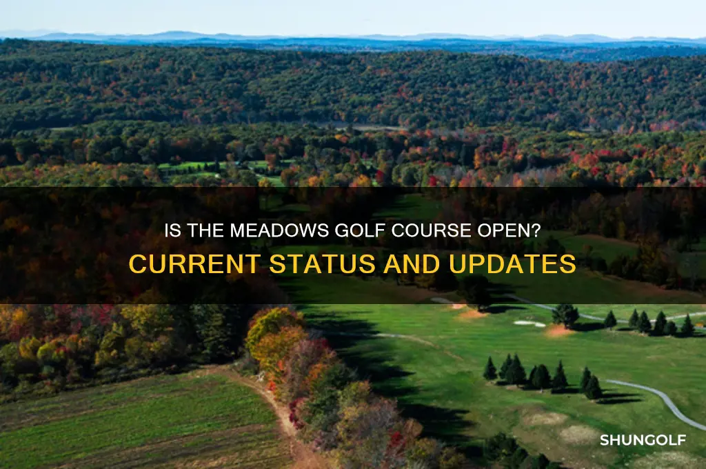 is the meadows golf course open