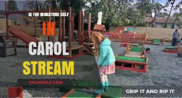 Exploring Miniature Golf in Carol Stream: A Fun Family Adventure