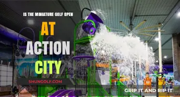Is Action City's Miniature Golf Open? Your Questions Answered