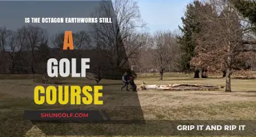 Octagon Earthworks Golf Course: Current Status and Historical Significance