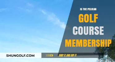 Is Pelican Golf Course Membership Worth It? Pros, Cons, and Costs