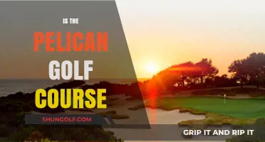 Exploring the Pelican Golf Course: A Golfer's Paradise or Myth?