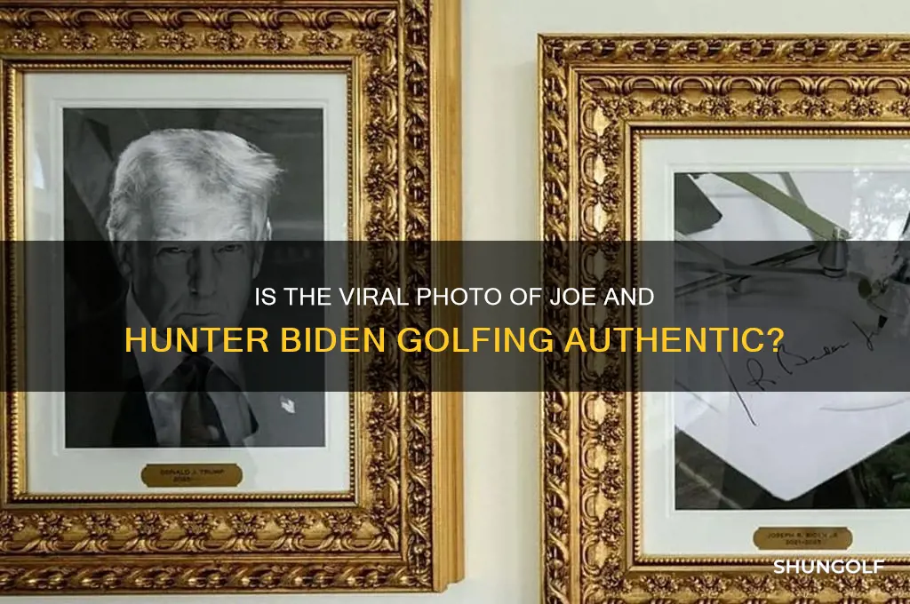 is the picture of joe and hunter biden golfing real