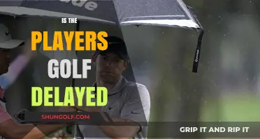 The Players Golf: Delayed or Not?