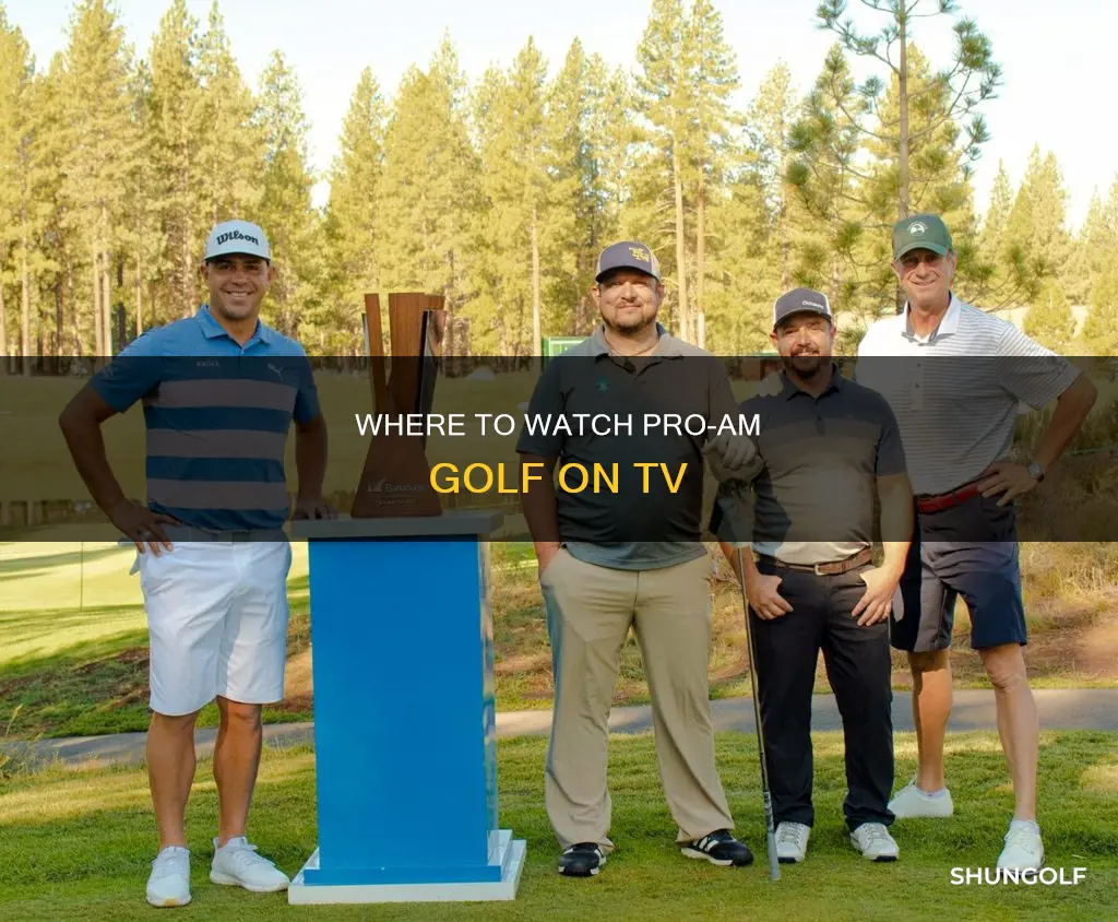 is the proam golf on tv