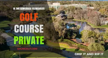Is Sawgrass Gleneagles Golf Course Private? Exploring Membership and Access
