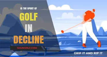 Golf's Future: Is the Sport Losing Its Swing?