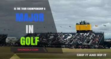Is the Tour Championship a Major? Golf's Elite Debate