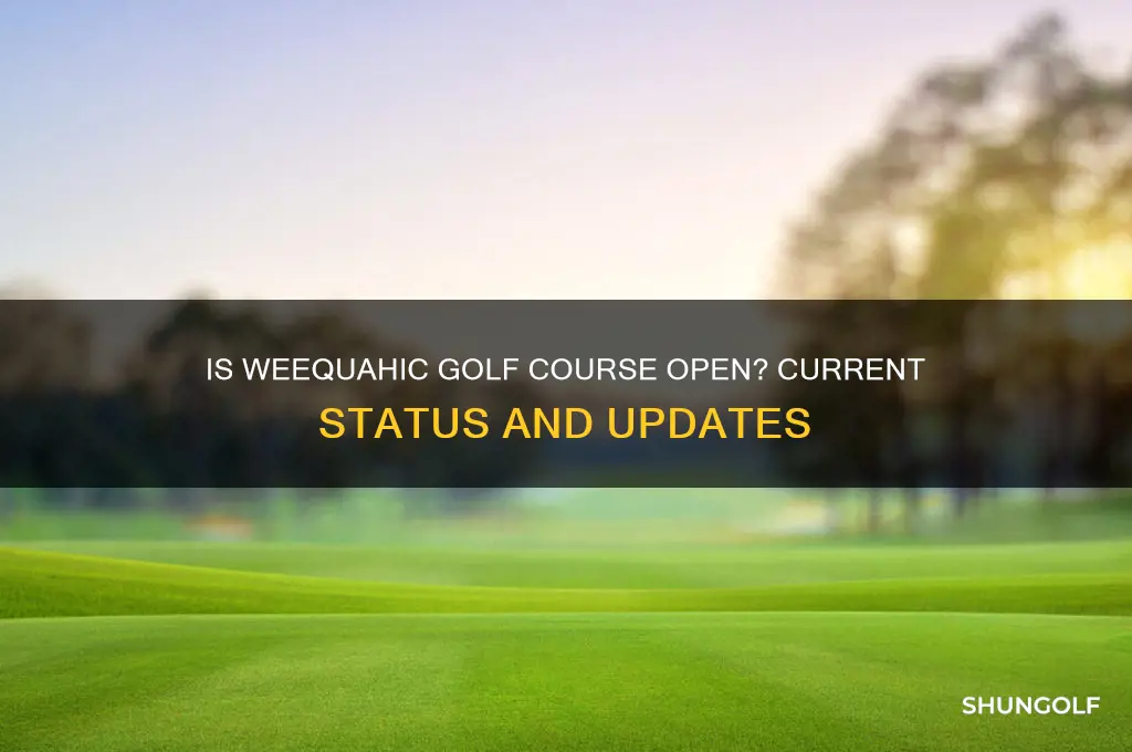 is the weequahic golf course open