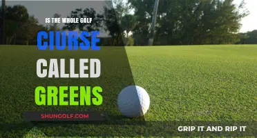 Golf Course Basics: Are All Fairways and Greens the Same?
