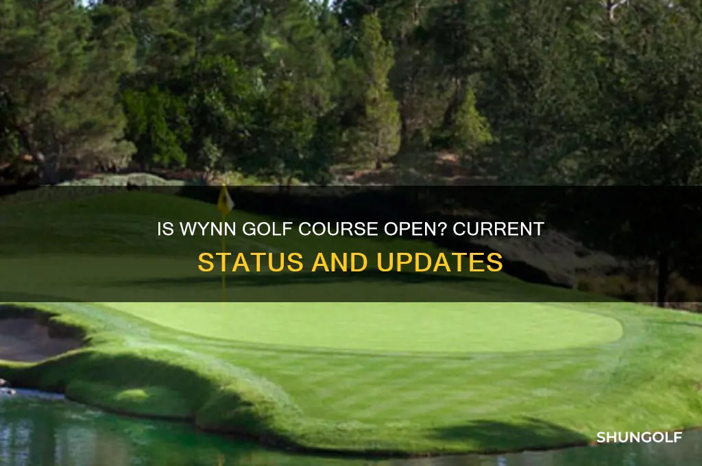 is the wynn golf course open