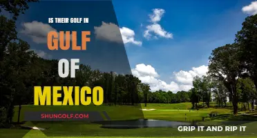 Exploring Golf Courses Along the Gulf of Mexico's Stunning Coastline