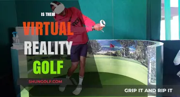 Virtual Golf: The Future of the Sport?