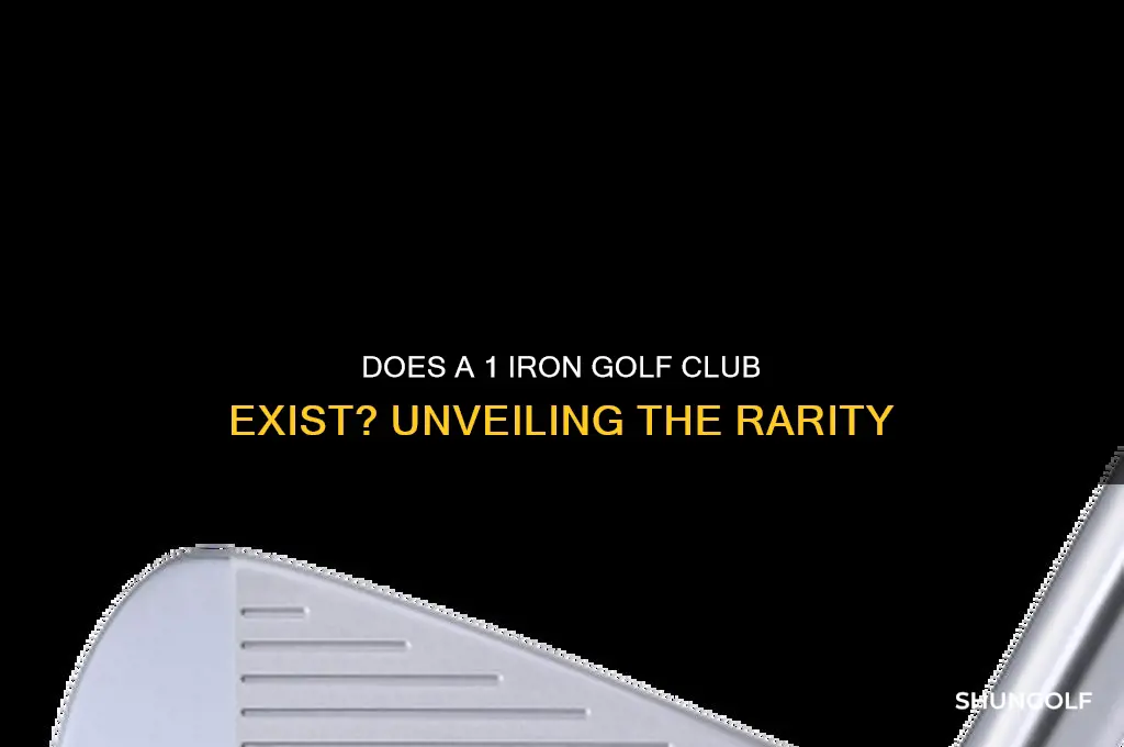 is there a 1 iron golf club